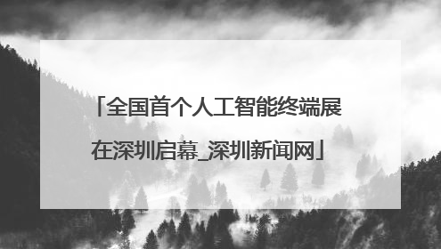 全国首个人工智能终端展在深圳启幕_深圳新闻网