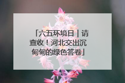 六五环境日｜请查收！河北交出沉甸甸的绿色答卷