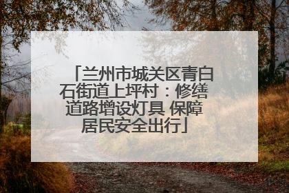 兰州市城关区青白石街道上坪村：修缮道路增设灯具 保障居民安全出行