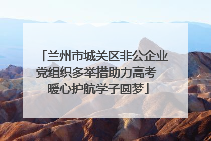 兰州市城关区非公企业党组织多举措助力高考 暖心护航学子圆梦
