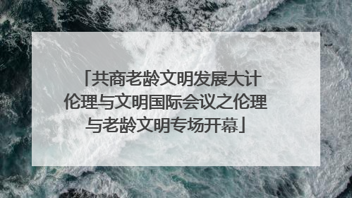 共商老龄文明发展大计 伦理与文明国际会议之伦理与老龄文明专场开幕