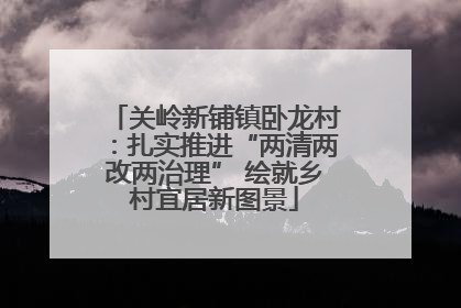 关岭新铺镇卧龙村：扎实推进“两清两改两治理” 绘就乡村宜居新图景