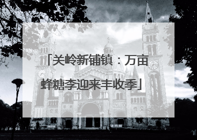 关岭新铺镇：万亩蜂糖李迎来丰收季