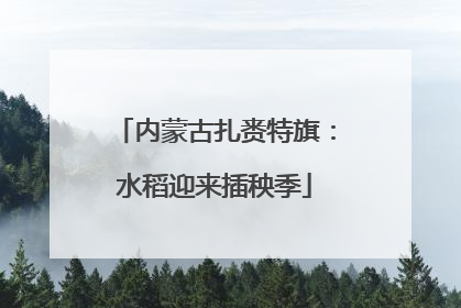 内蒙古扎赉特旗：水稻迎来插秧季