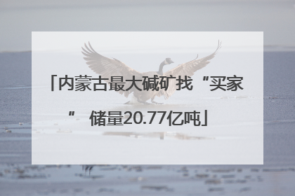 内蒙古最大碱矿找“买家” 储量20.77亿吨