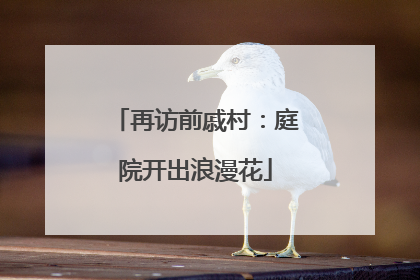 再访前戚村：庭院开出浪漫花