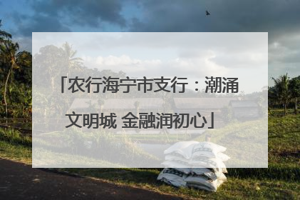农行海宁市支行：潮涌文明城 金融润初心