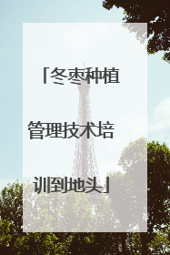 冬枣种植管理技术培训到地头