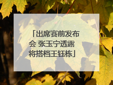 出席赛前发布会 张玉宁透露将搭档王钰栋