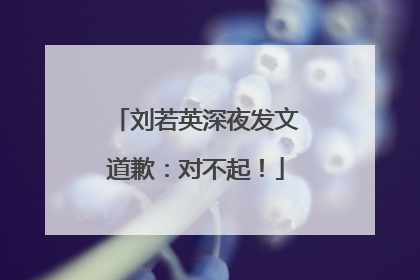 刘若英深夜发文道歉：对不起！