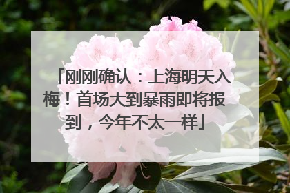 刚刚确认：上海明天入梅！首场大到暴雨即将报到，今年不太一样