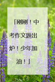 刚刚！中考作文题出炉！少年加油！