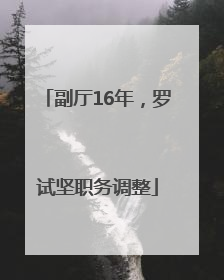 副厅16年，罗试坚职务调整