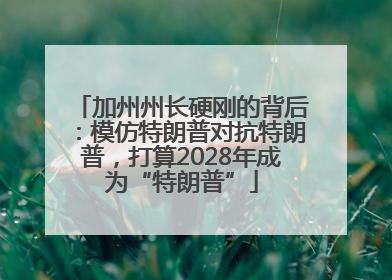 加州州长硬刚的背后：模仿特朗普对抗特朗普，打算2028年成为“特朗普”