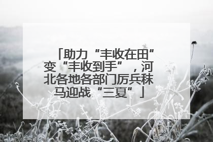 助力“丰收在田”变“丰收到手”，河北各地各部门厉兵秣马迎战“三夏”