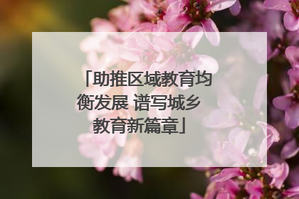 助推区域教育均衡发展 谱写城乡教育新篇章