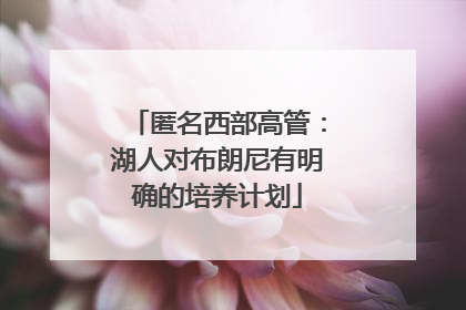 匿名西部高管：湖人对布朗尼有明确的培养计划