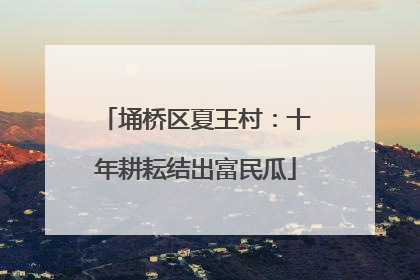 埇桥区夏王村：十年耕耘结出富民瓜