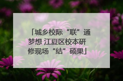 城乡校际“联”通梦想 江夏区校本研修现场“结”硕果