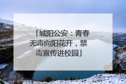 城阳公安：青春无毒向阳花开，禁毒宣传进校园