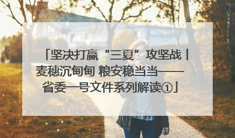 坚决打赢“三夏”攻坚战丨麦穗沉甸甸 粮安稳当当——省委一号文件系列解读①