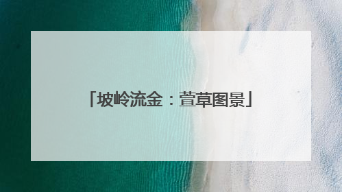 坡岭流金：萱草图景