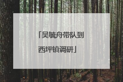 吴毓舟带队到西坪镇调研