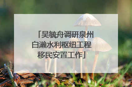 吴毓舟调研泉州白濑水利枢纽工程移民安置工作