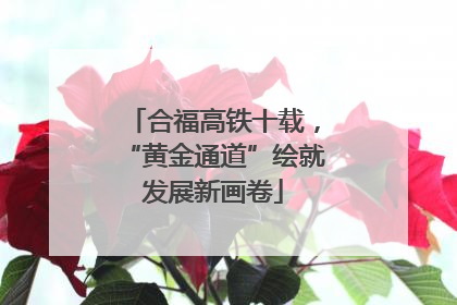 合福高铁十载，“黄金通道”绘就发展新画卷