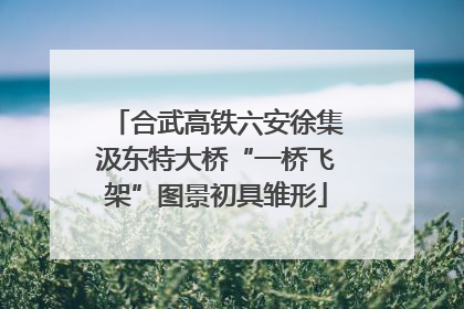 合武高铁六安徐集汲东特大桥“一桥飞架”图景初具雏形