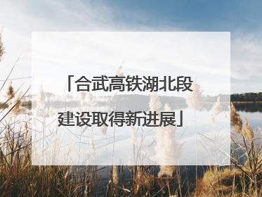 合武高铁湖北段建设取得新进展