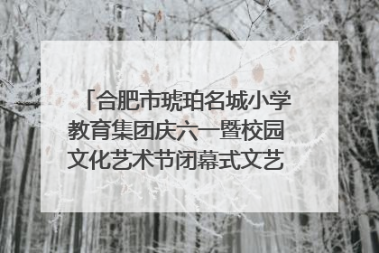 合肥市琥珀名城小学教育集团庆六一暨校园文化艺术节闭幕式文艺汇演圆满举行