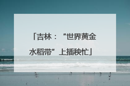 吉林：“世界黄金水稻带”上插秧忙