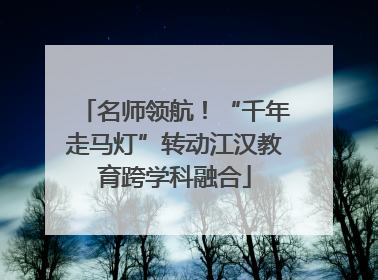 名师领航！“千年走马灯”转动江汉教育跨学科融合