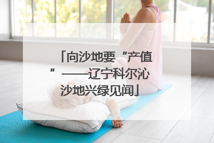 向沙地要“产值”——辽宁科尔沁沙地兴绿见闻