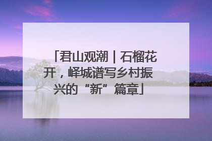 君山观潮｜石榴花开，峄城谱写乡村振兴的“新”篇章
