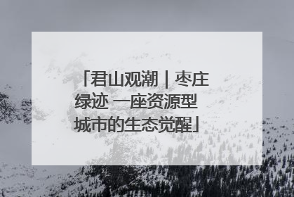 君山观潮｜枣庄绿迹 一座资源型城市的生态觉醒