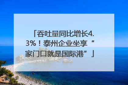吞吐量同比增长4.3%！泰州企业坐享“家门口就是国际港”