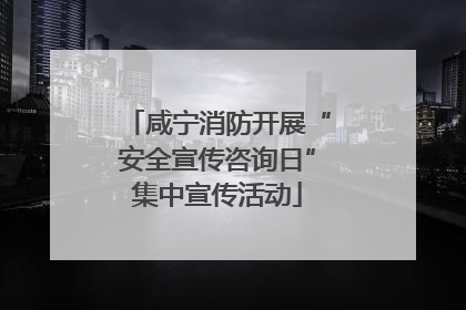 咸宁消防开展“安全宣传咨询日”集中宣传活动