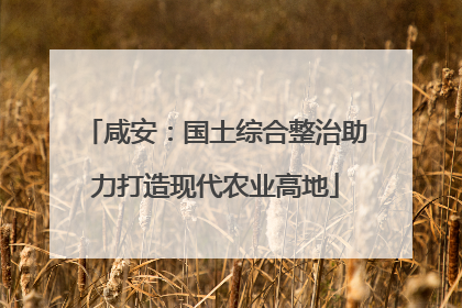 咸安：国土综合整治助力打造现代农业高地