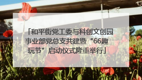 和平街党工委与科创文创园事业部党总支共建暨“66趣玩节”启动仪式隆重举行