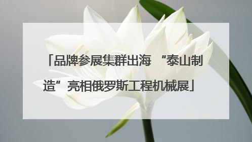 品牌参展集群出海 “泰山制造”亮相俄罗斯工程机械展