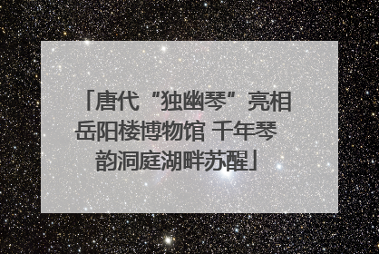 唐代“独幽琴”亮相岳阳楼博物馆 千年琴韵洞庭湖畔苏醒