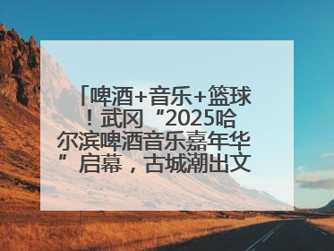 啤酒+音乐+篮球！武冈“2025哈尔滨啤酒音乐嘉年华”启幕，古城潮出文旅新活力