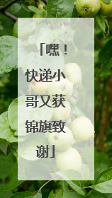 嘿！快递小哥又获锦旗致谢