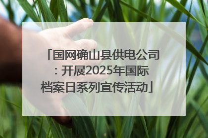 国网确山县供电公司：开展2025年国际档案日系列宣传活动