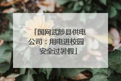 国网武陟县供电公司：用电进校园  安全过暑假