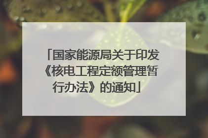 国家能源局关于印发《核电工程定额管理暂行办法》的通知