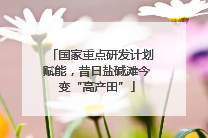 国家重点研发计划赋能，昔日盐碱滩今变“高产田”