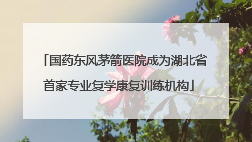国药东风茅箭医院成为湖北省首家专业复学康复训练机构